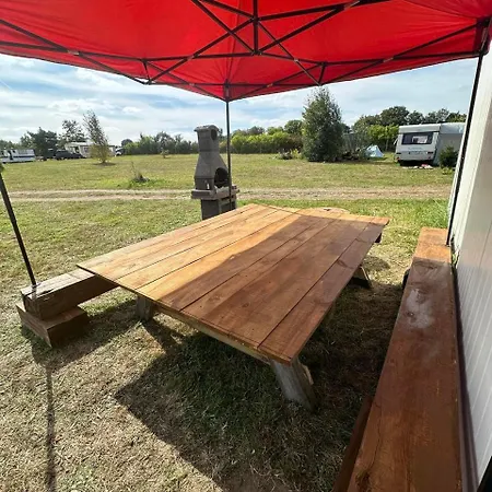 Dive In- Camping