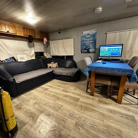 Dive In- Camping